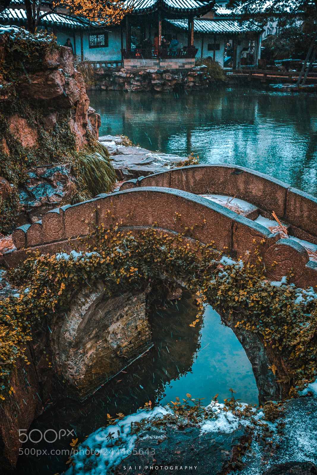 Sony a7R II sample photo. Winter views photography