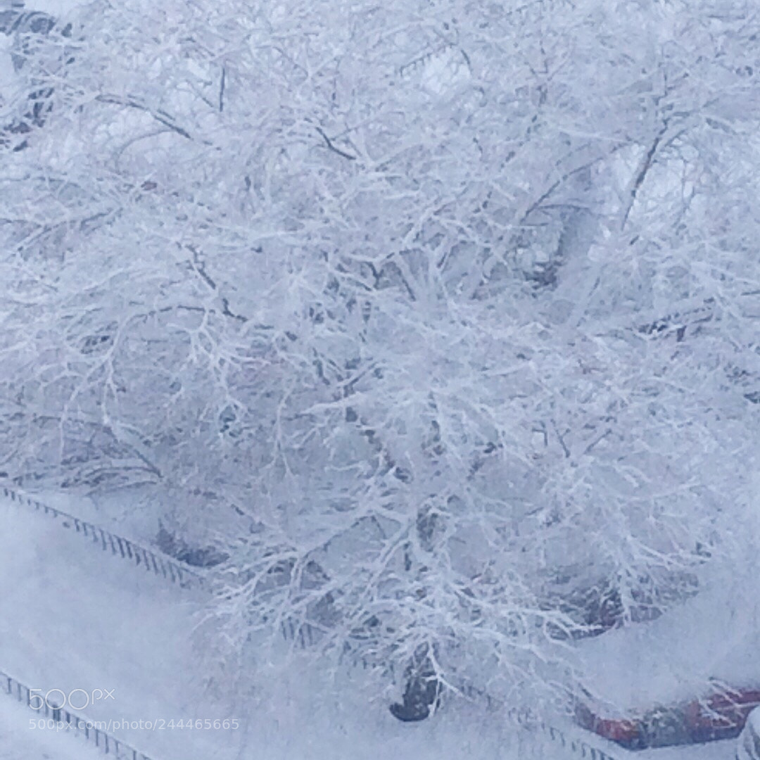 Apple iPhone 5s sample photo. Winter ❄️ photography