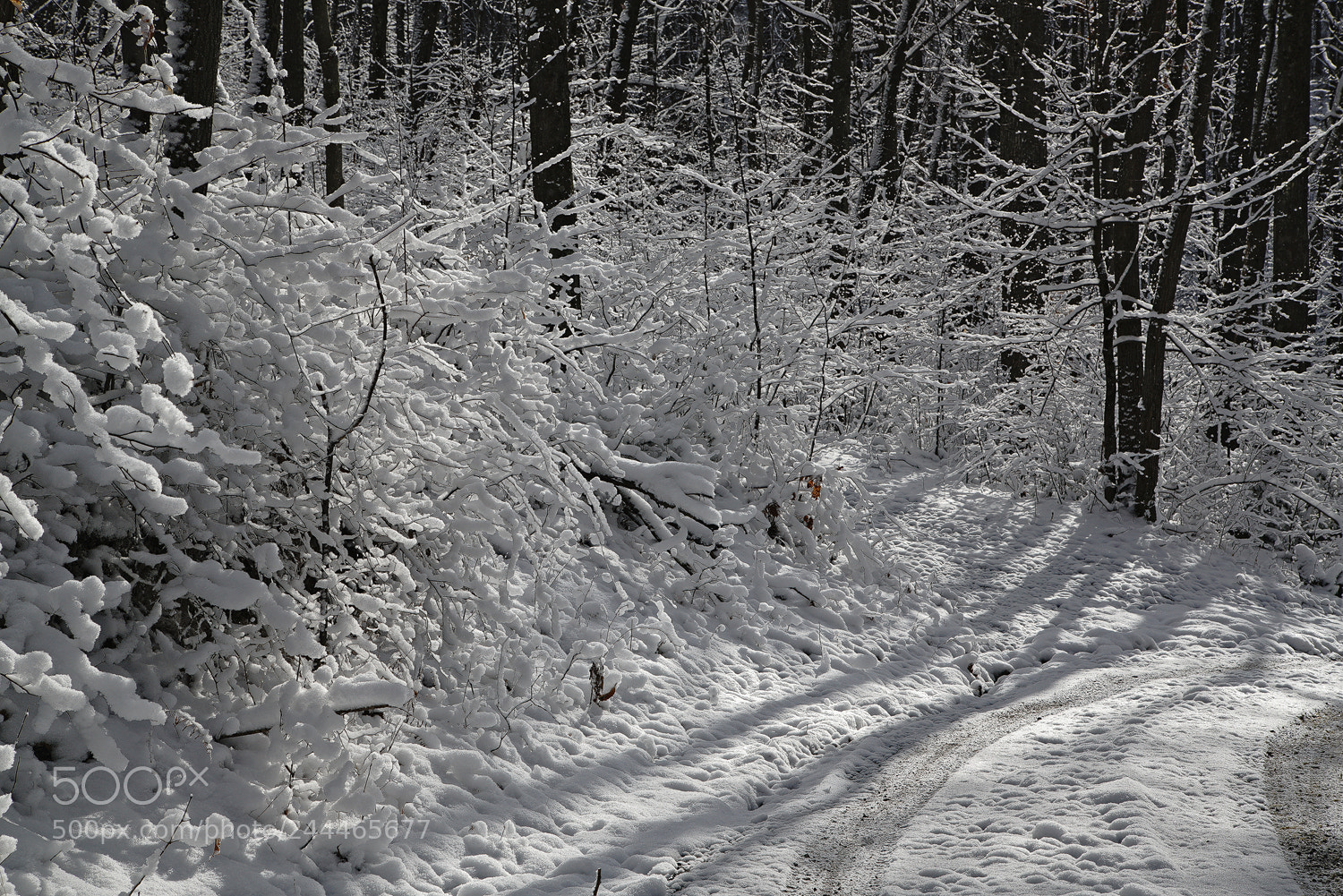 Sony a7R II sample photo. Winter coat photography
