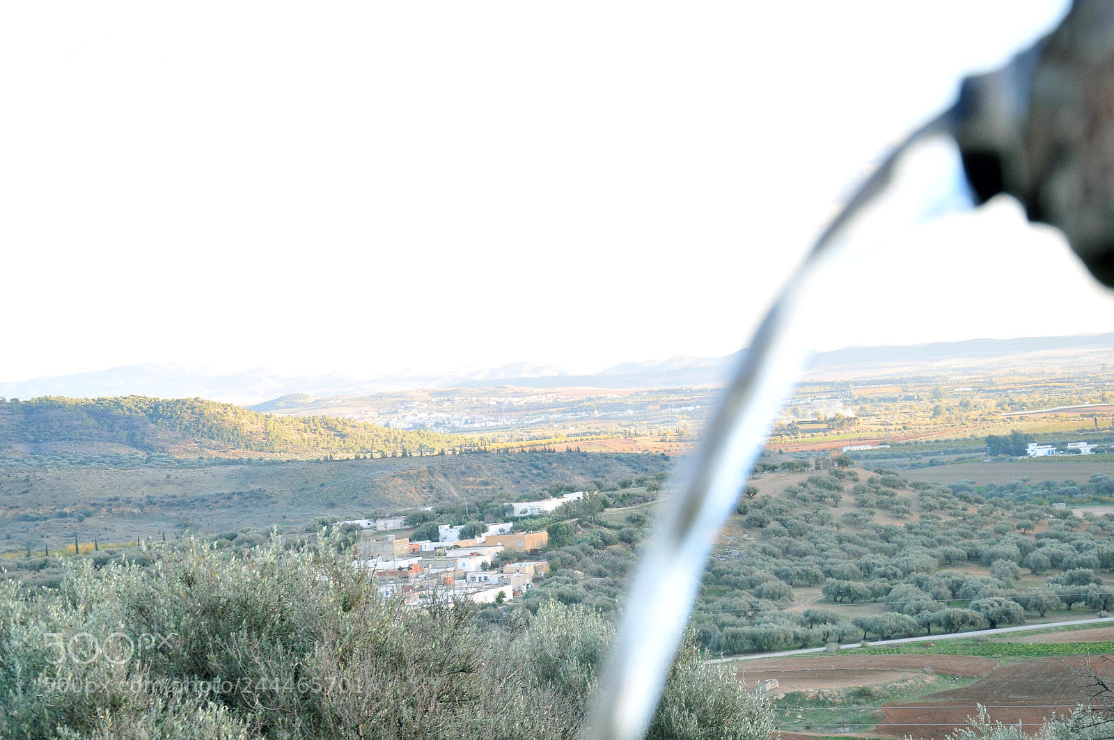 Nikon D300S sample photo. Love the nature photography
