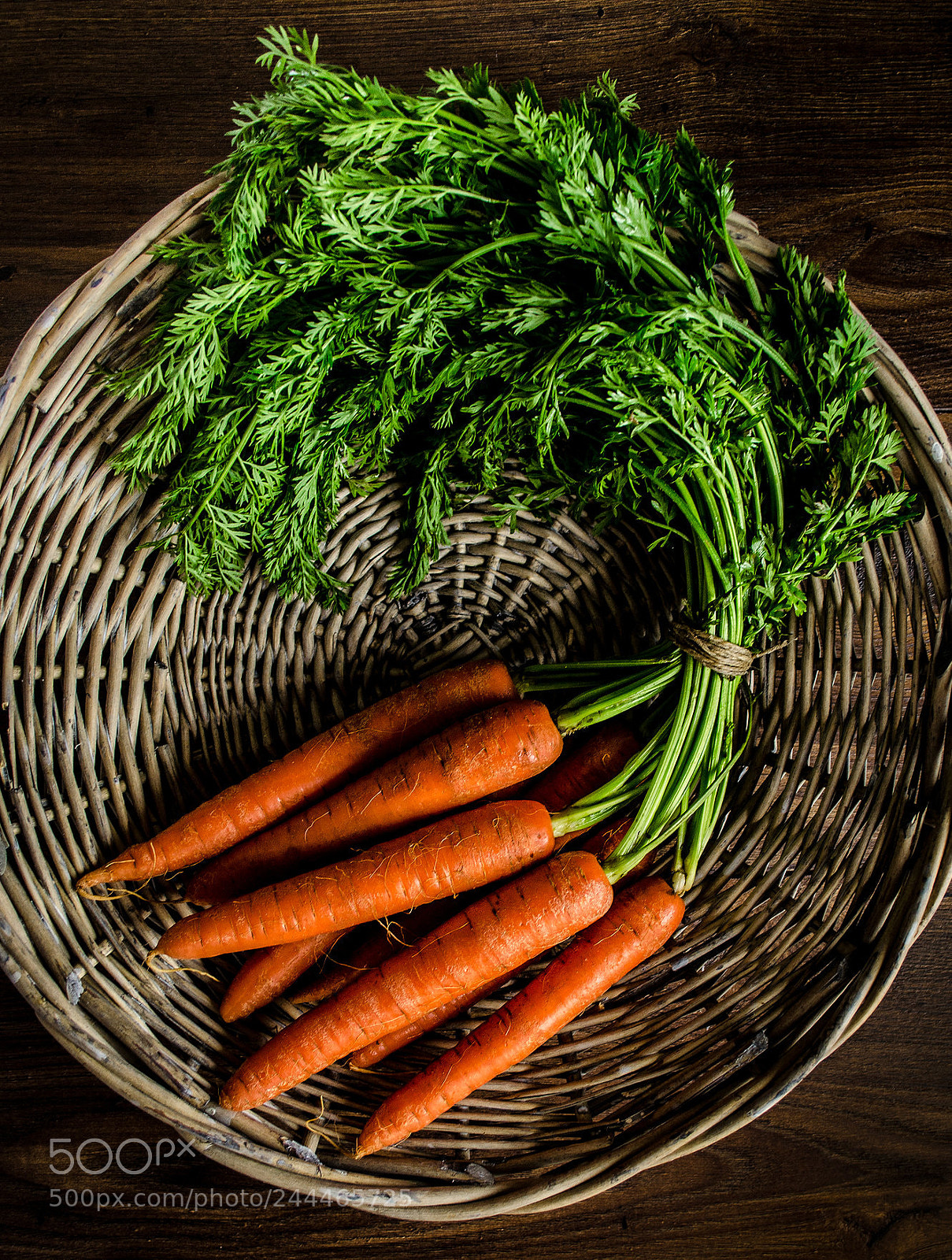 Nikon D5100 sample photo. Carrots ... from farm photography