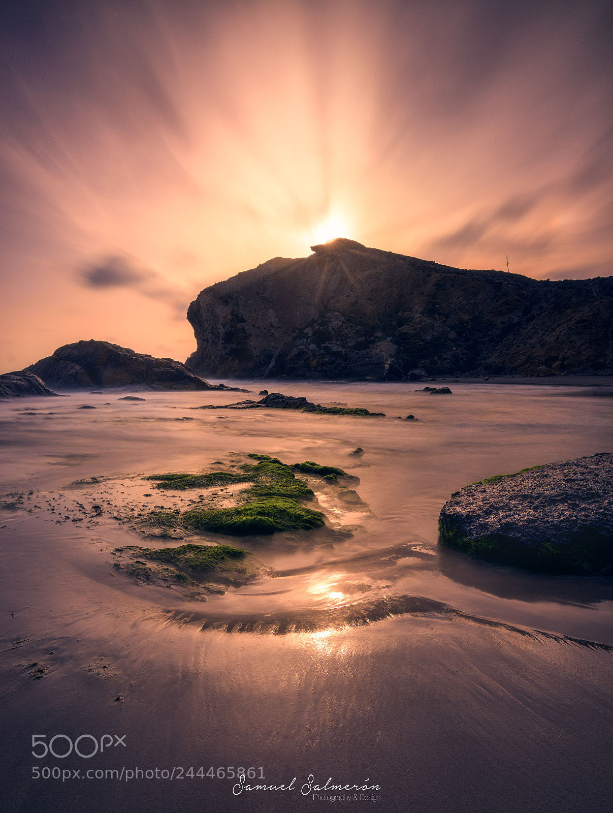 Nikon D7100 sample photo. Direction of light photography