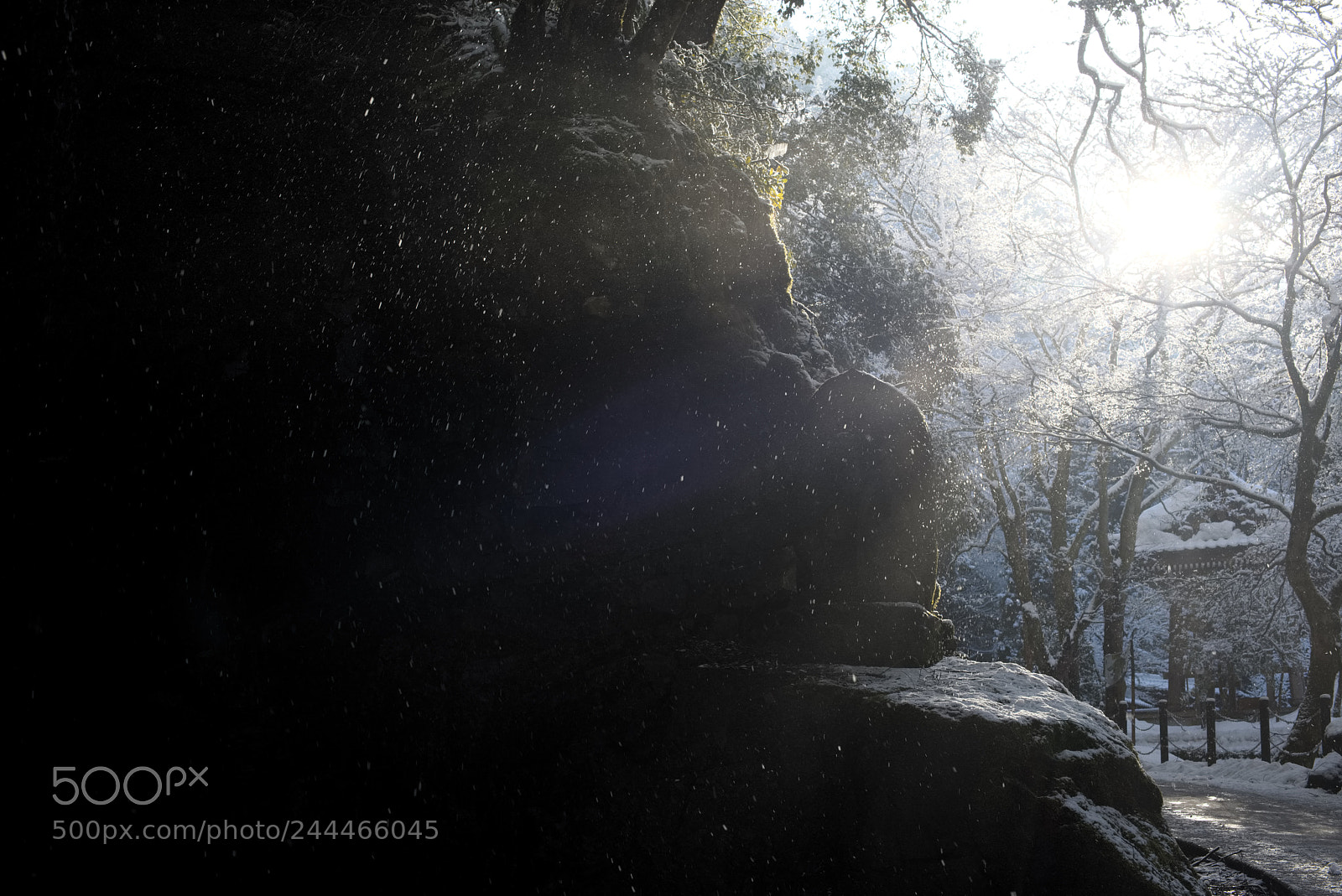 Nikon D810 sample photo. Bririant light!! photography