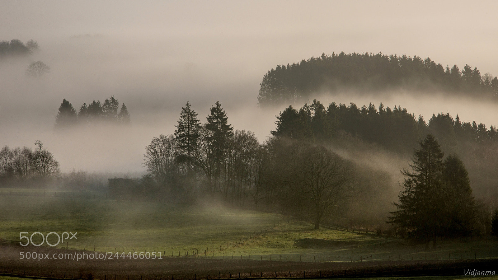Nikon D610 sample photo. Misty valley photography