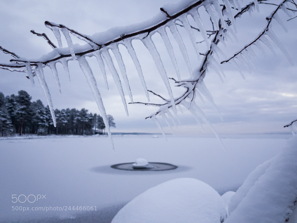 Samsung Galaxy S8 sample photo. Frozen onega lake photography