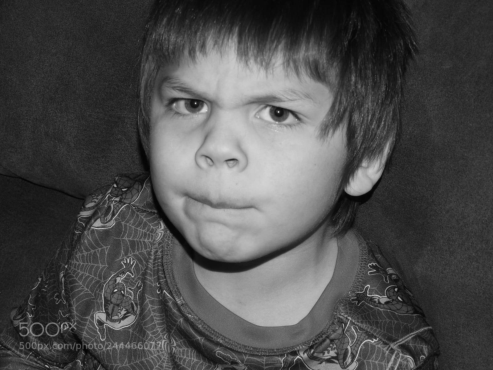 Nikon Coolpix P900 sample photo. Dominic photography