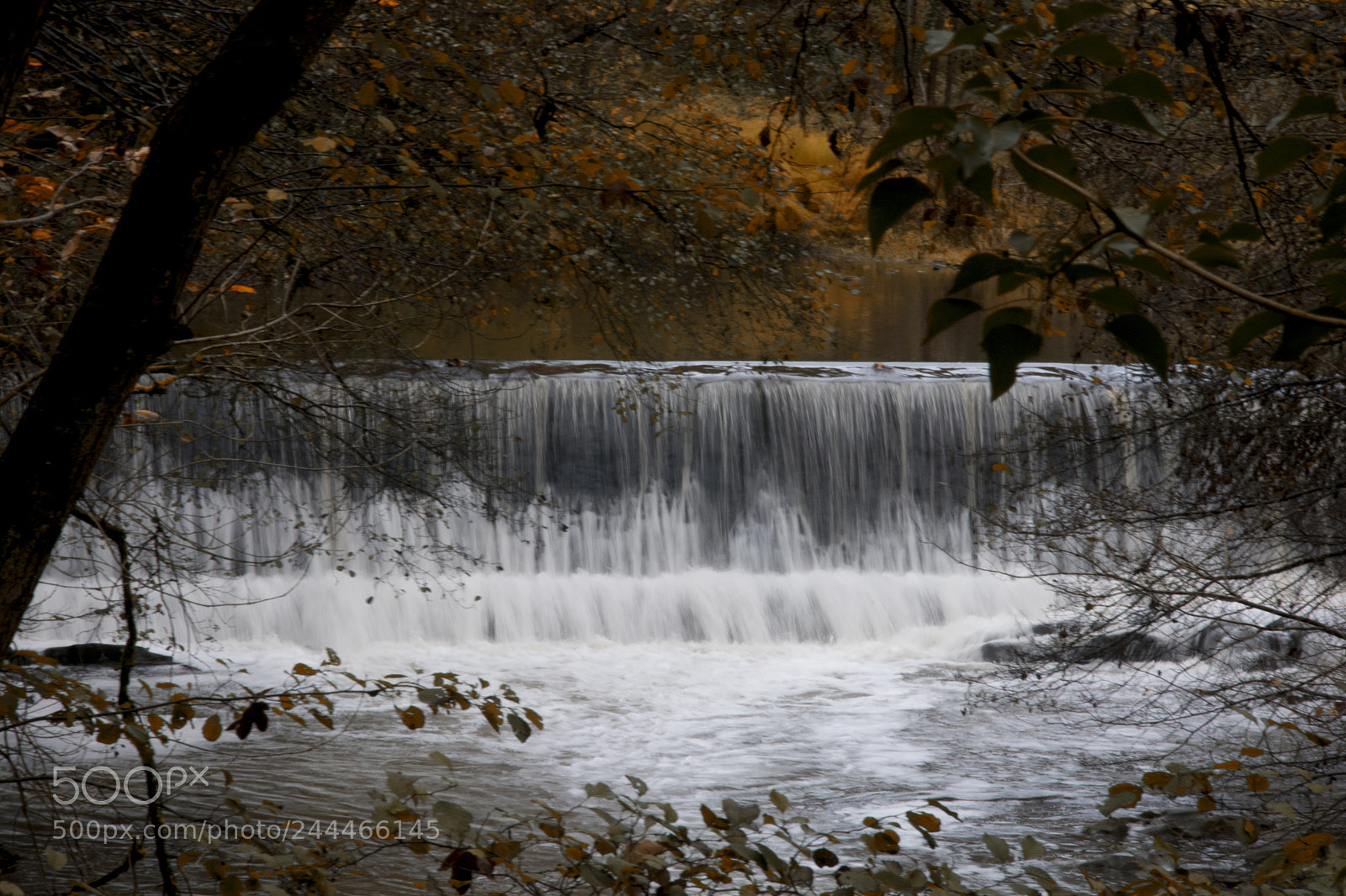 Nikon D7100 sample photo. Untitled photography