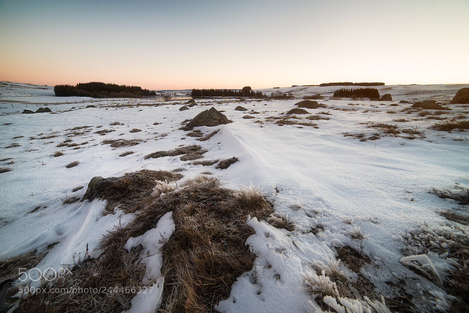 Pentax K-1 sample photo. Aubrac photography