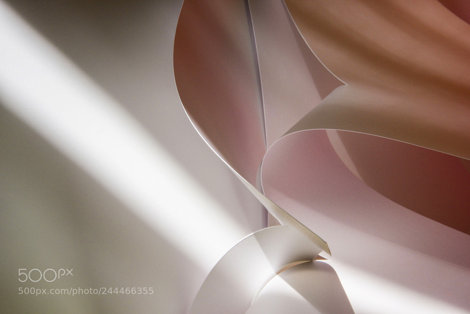 Nikon D810 sample photo. Sunny side up photography