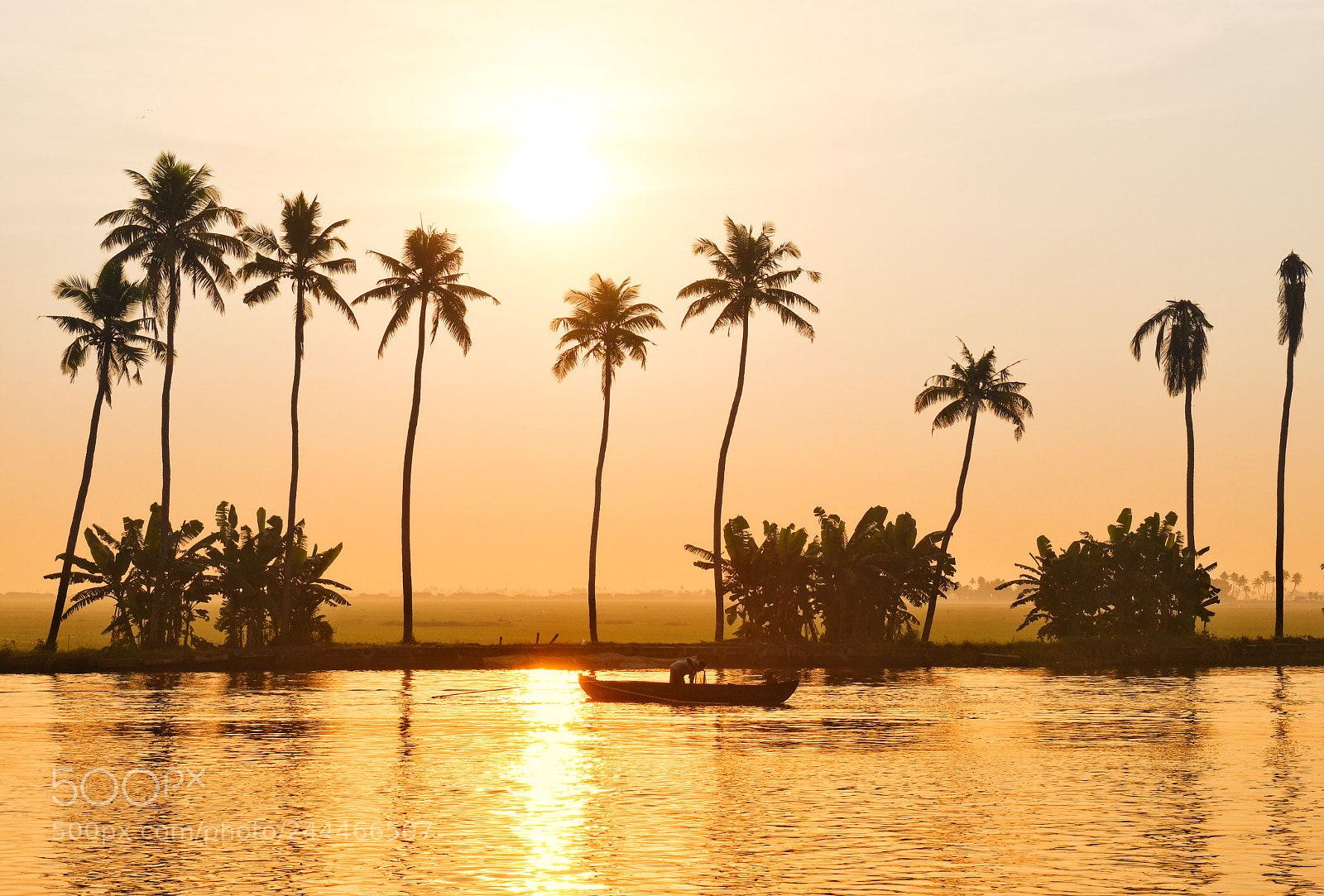 Nikon D500 sample photo. Sunrise on the backwaters photography