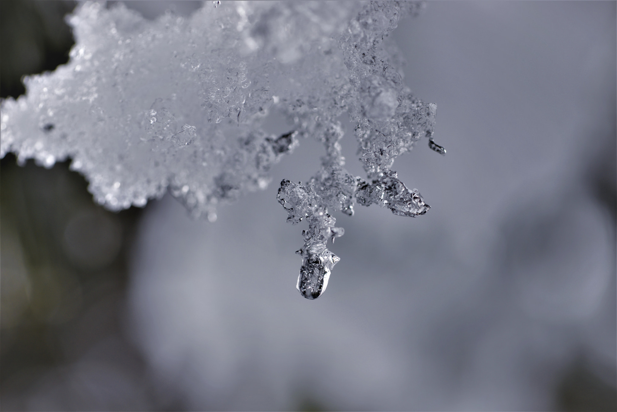Nikon AF-S Micro-Nikkor 105mm F2.8G IF-ED VR sample photo. Winter arts photography