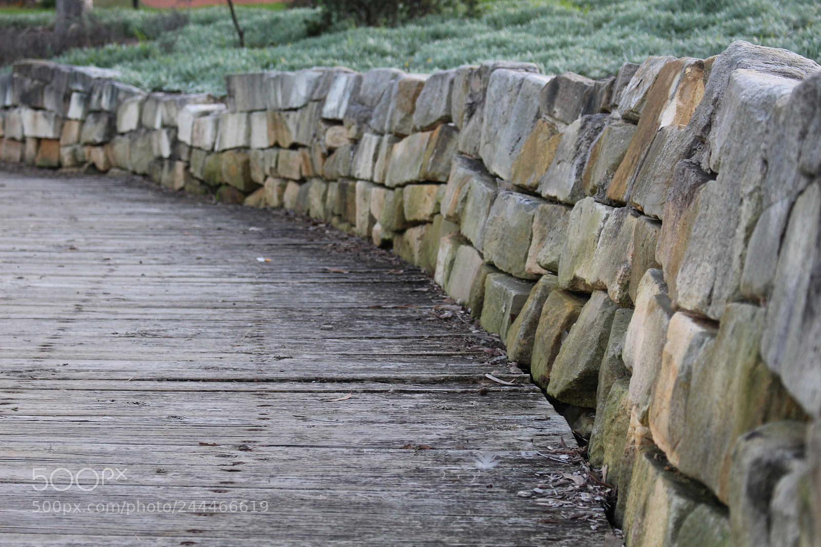 Canon EOS 100D (EOS Rebel SL1 / EOS Kiss X7) sample photo. Walking in the distance photography
