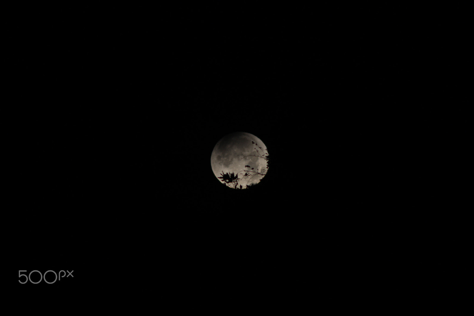 Canon EOS 1200D (EOS Rebel T5 / EOS Kiss X70 / EOS Hi) + EF75-300mm f/4-5.6 sample photo. Moon shadow photography