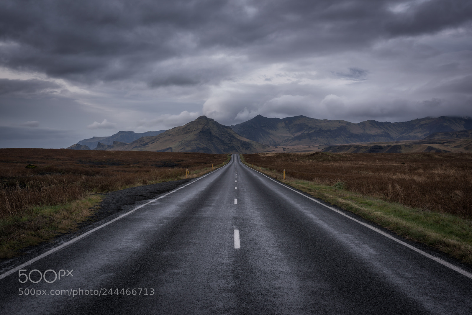 Nikon D810 sample photo. Heading for the hills photography
