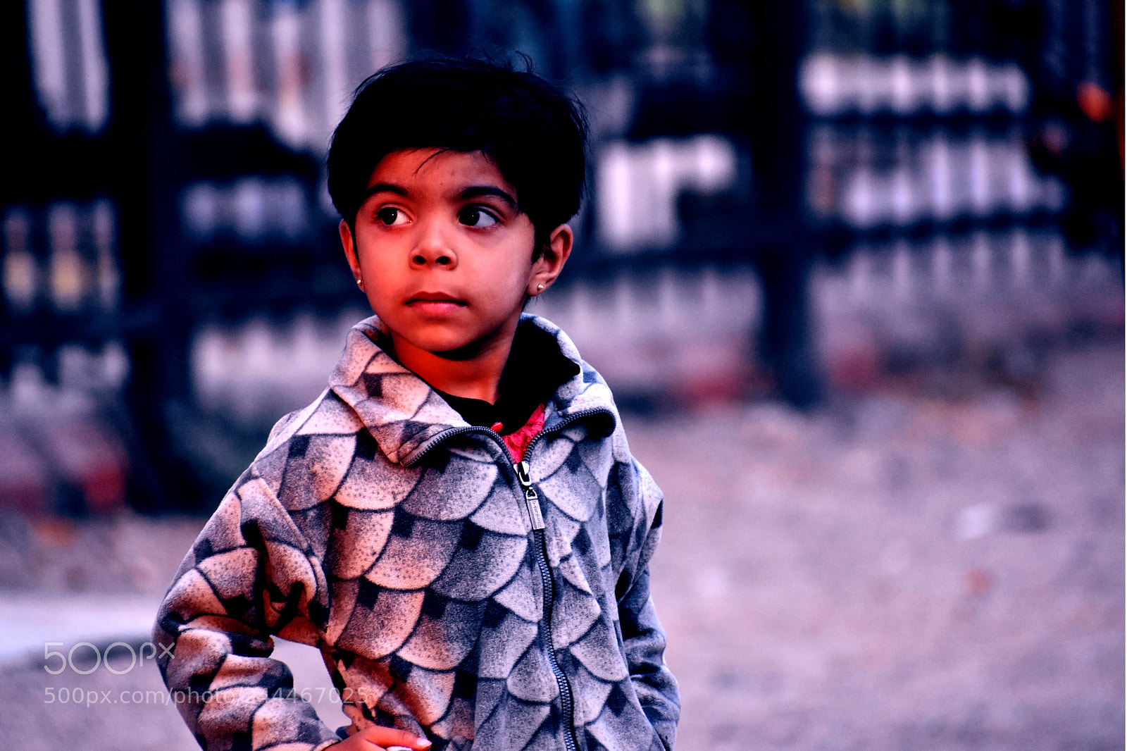 Nikon D3400 sample photo. Untitled photography