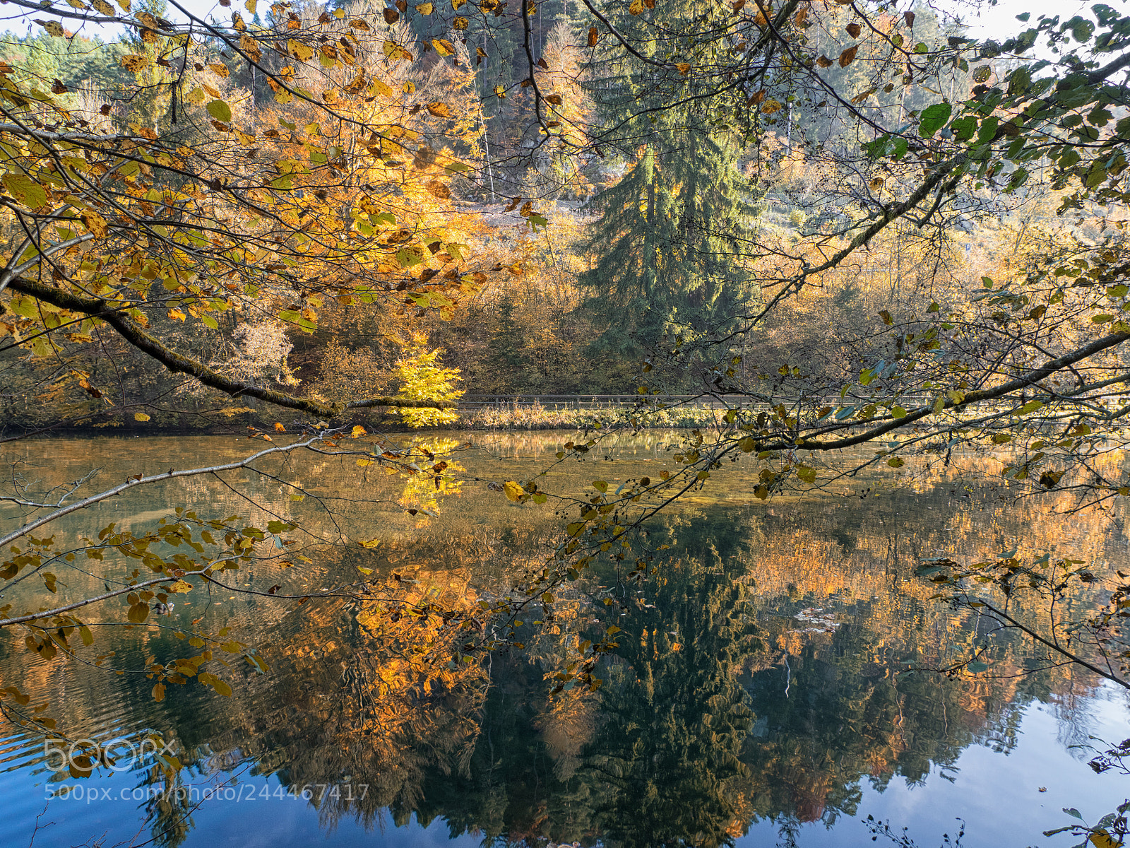 Olympus OM-D E-M1 sample photo. Spiegelung photography