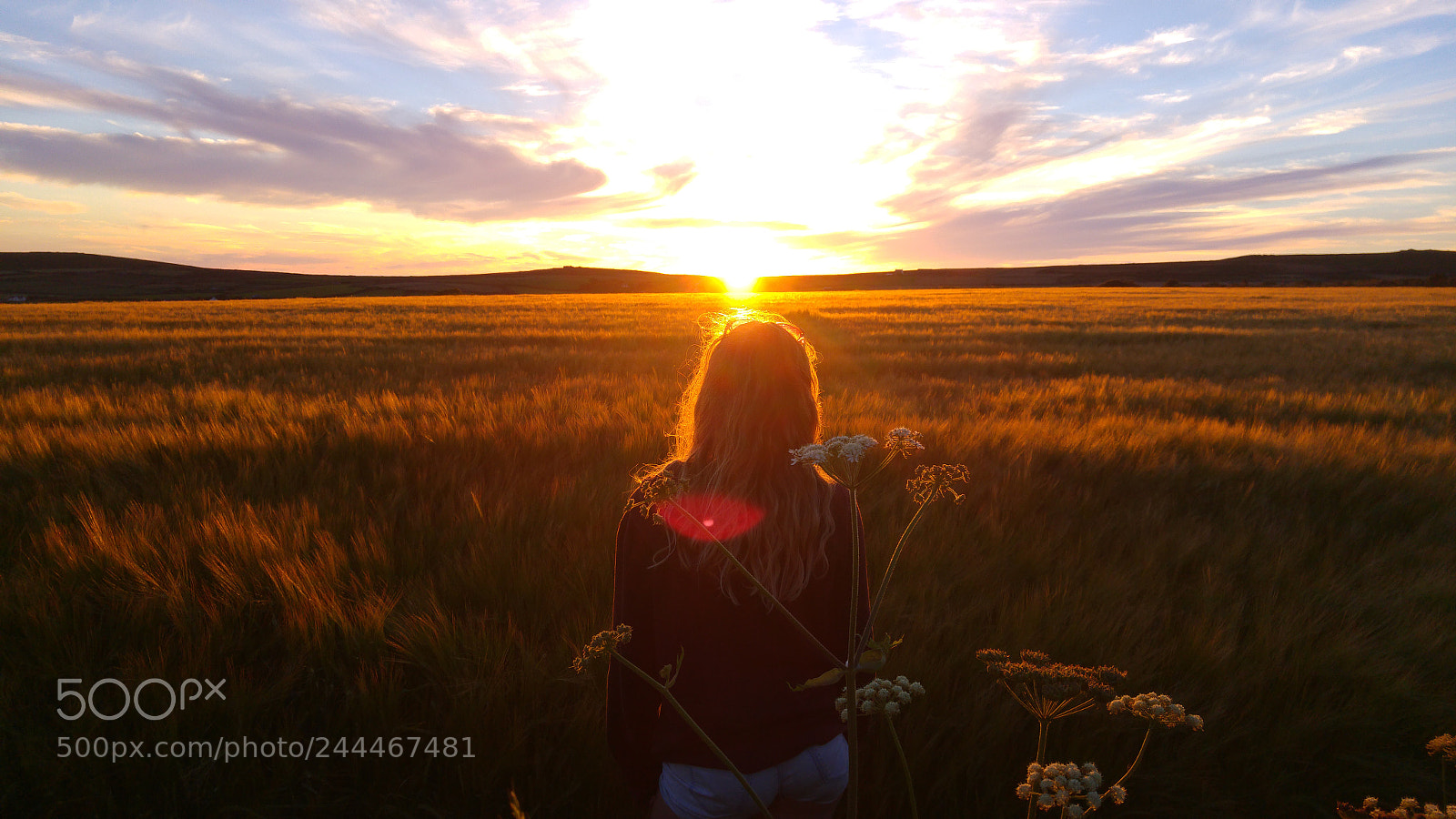 LG G4 sample photo. Field sunset photography