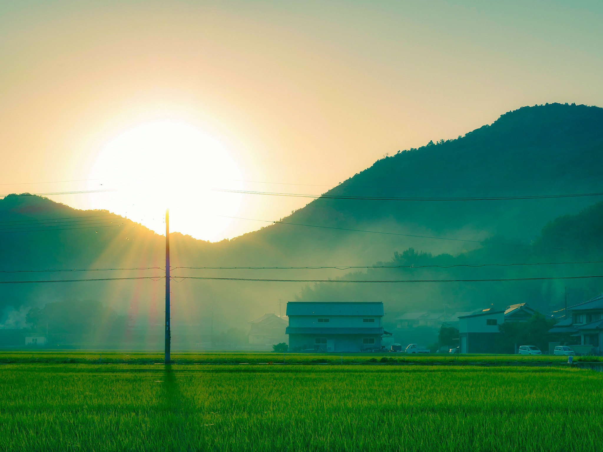 Panasonic Lumix DMC-GX85 (Lumix DMC-GX80 / Lumix DMC-GX7 Mark II) sample photo. Sunshine photography