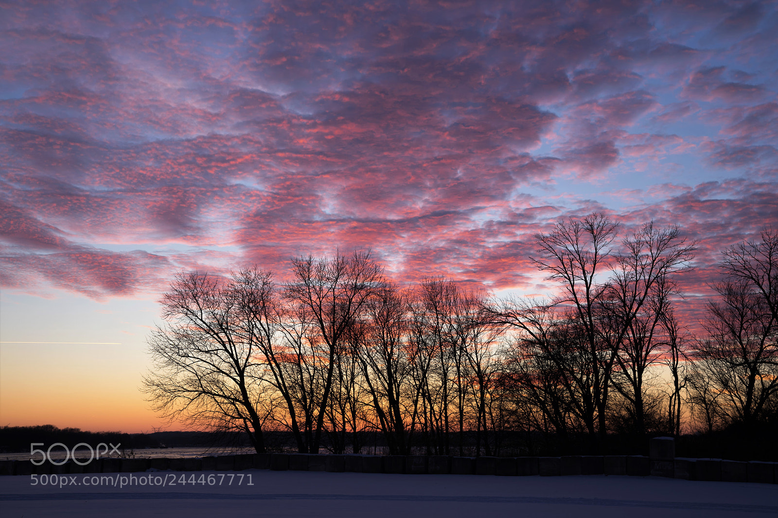 Sony a7 II sample photo. Leathery sky photography