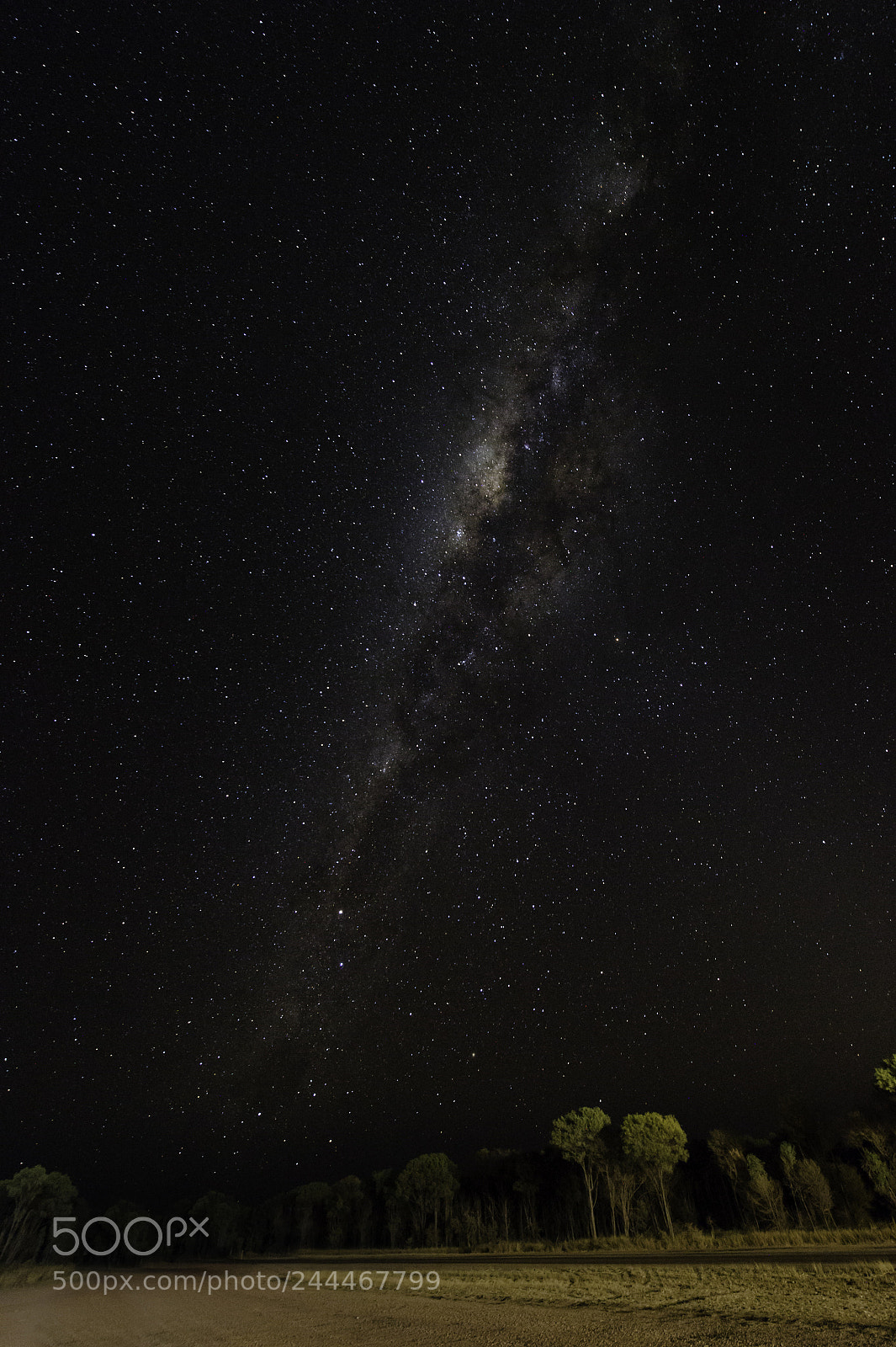 Nikon D4 sample photo. Milky way stuart hwy photography