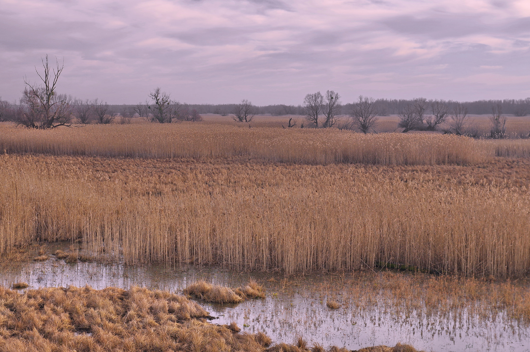 Pentax K-3 sample photo. The four seasons : winter xiii ;) photography