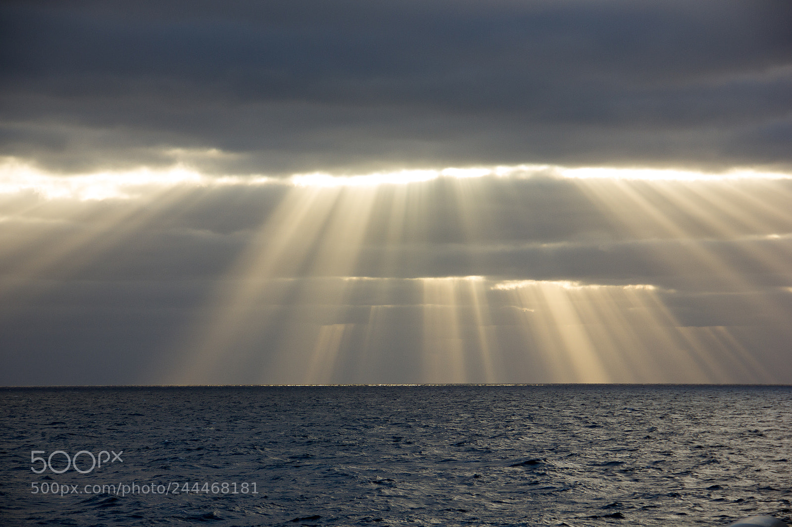 Canon EOS 550D (EOS Rebel T2i / EOS Kiss X4) sample photo. Madeira photography