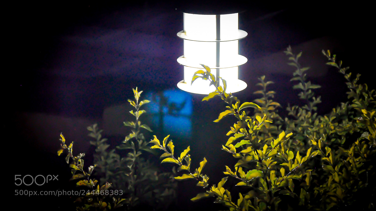 Nikon D90 sample photo. Night light photography