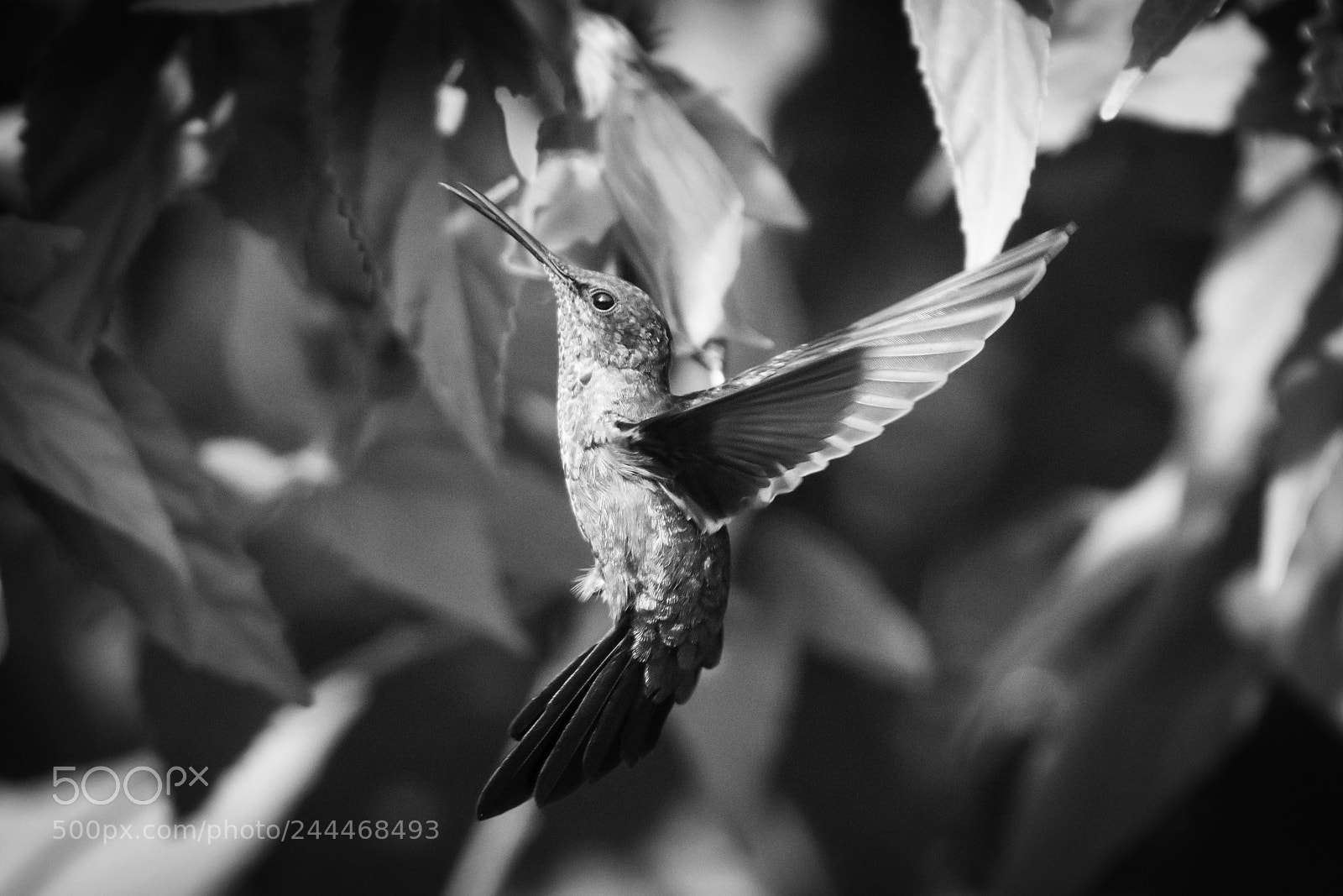 Nikon D7100 sample photo. Inflight photography
