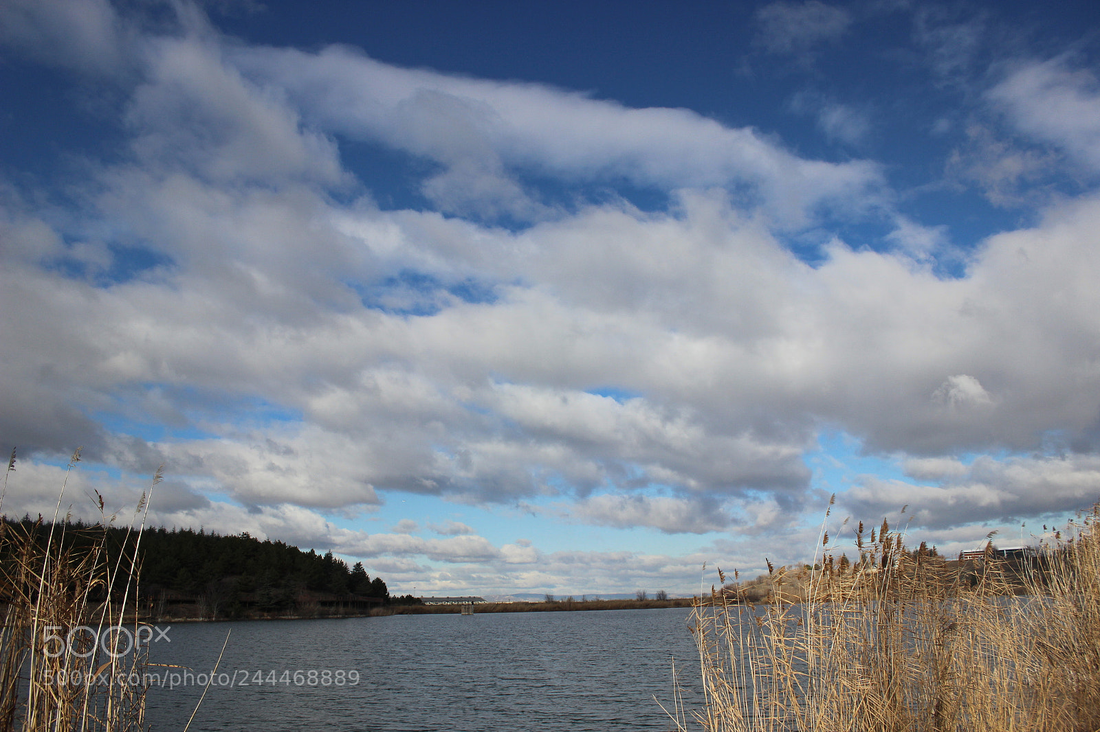 Canon EF-S 18-55mm F3.5-5.6 III sample photo. Img photography