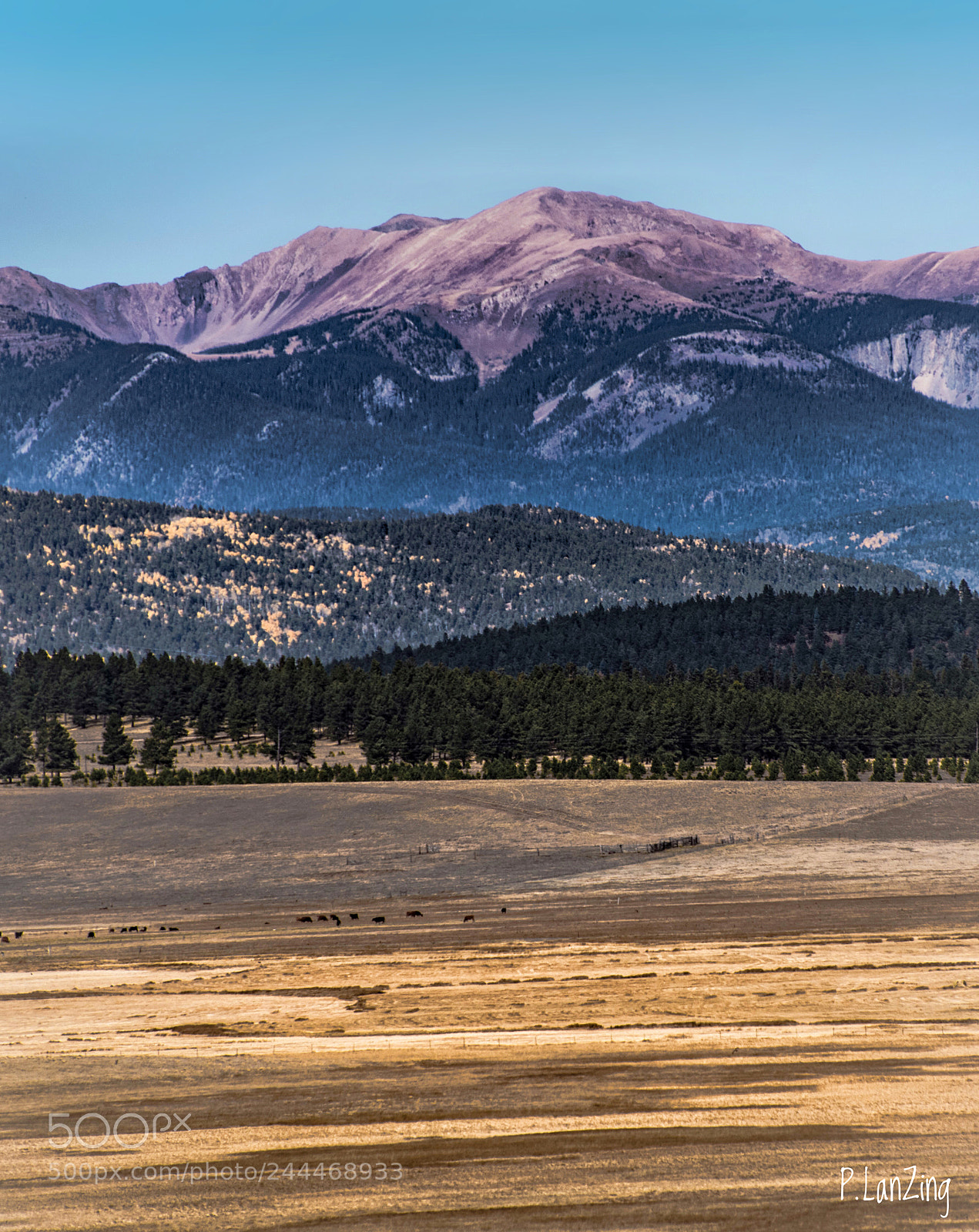 Nikon D810 sample photo. Sangre de christos, new photography