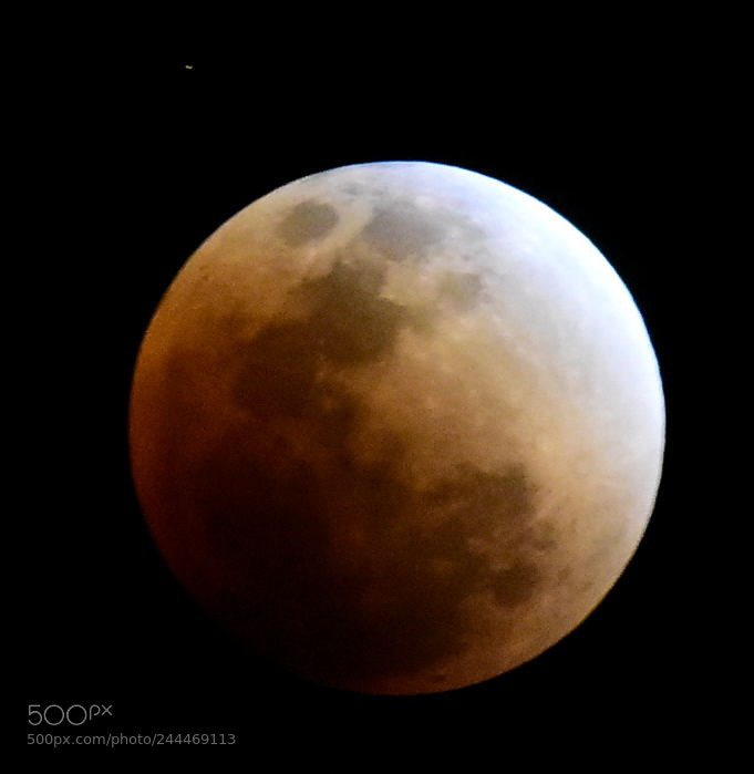 Nikon D7200 sample photo. Reddish blue moon and photography