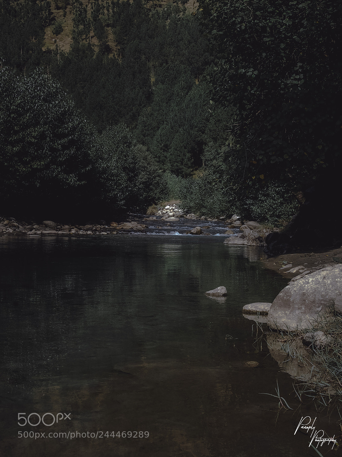 Nikon D50 sample photo. Clear but deep photography