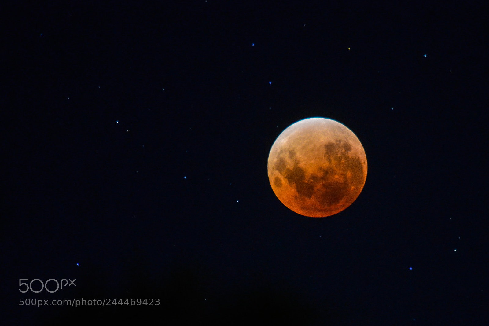 Nikon D5100 sample photo. Lunar eclipse photography