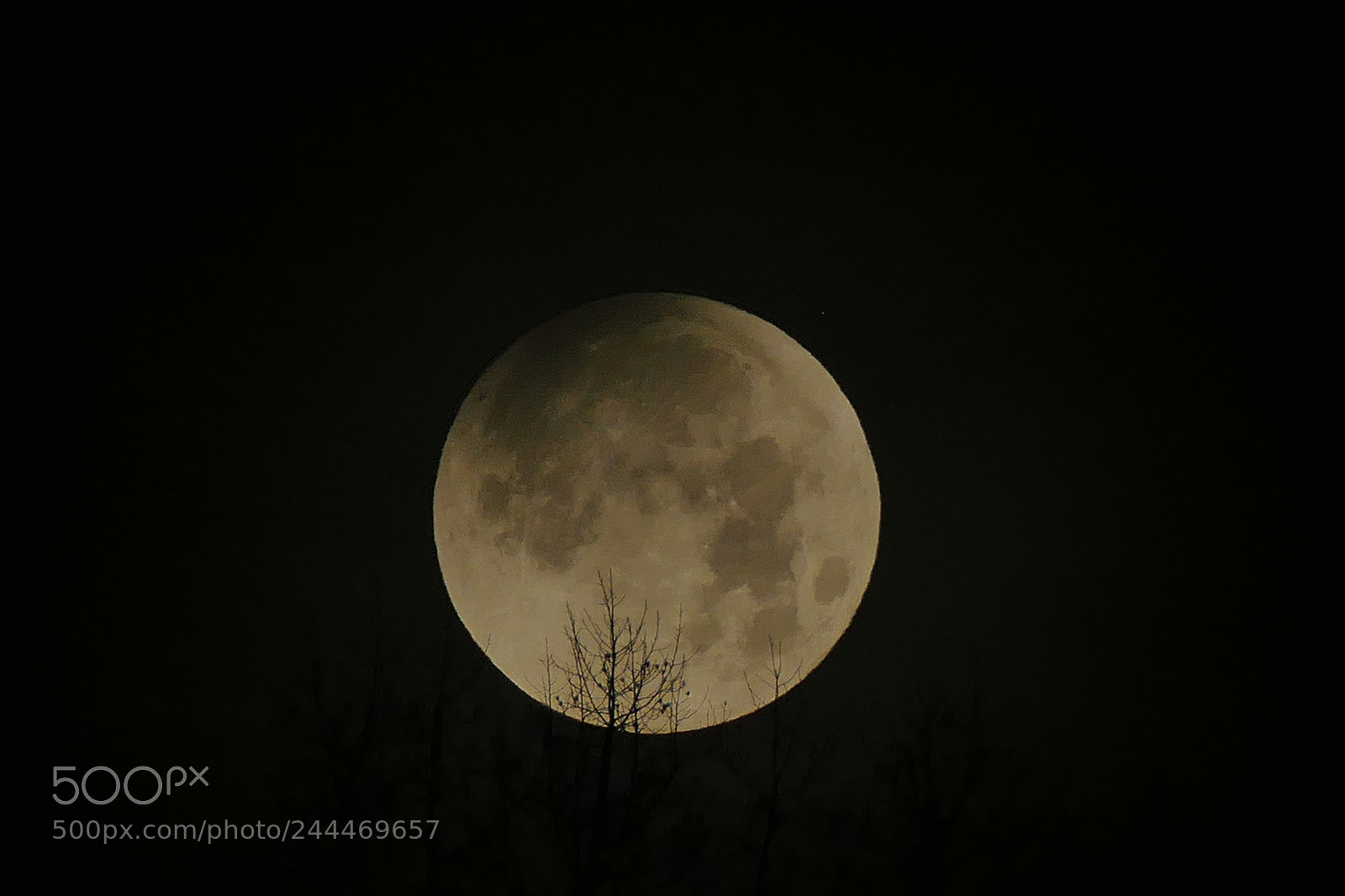 Panasonic Lumix DMC-FZ1000 sample photo. Lunar eclipse jan 31, 2018 photography