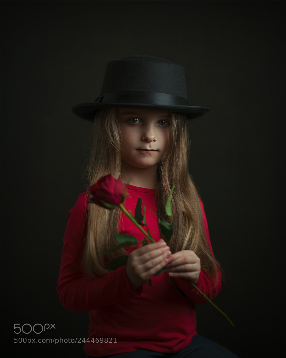 Nikon D800 sample photo. Roses are red photography