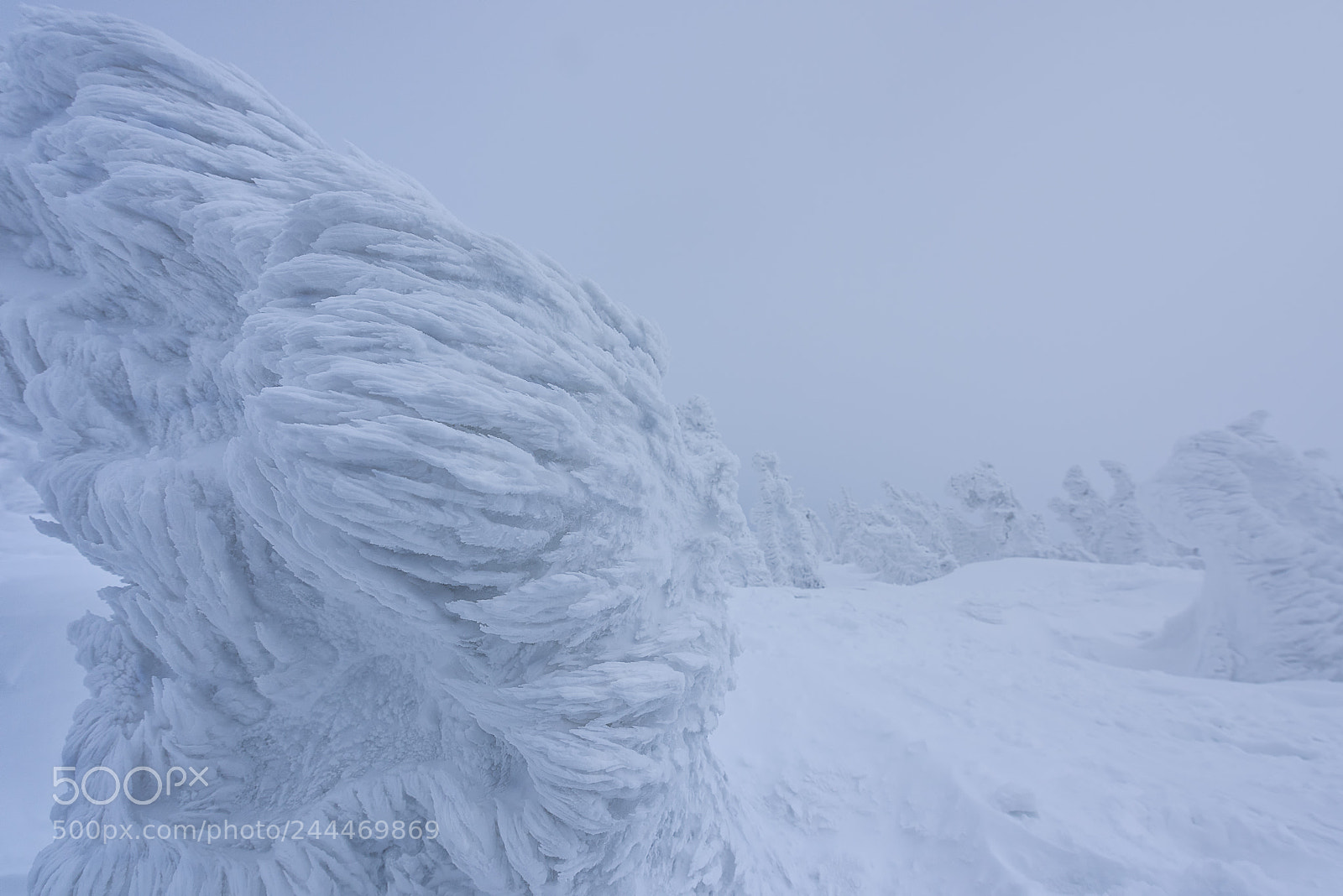 Nikon D810 sample photo. Wind sculpture photography