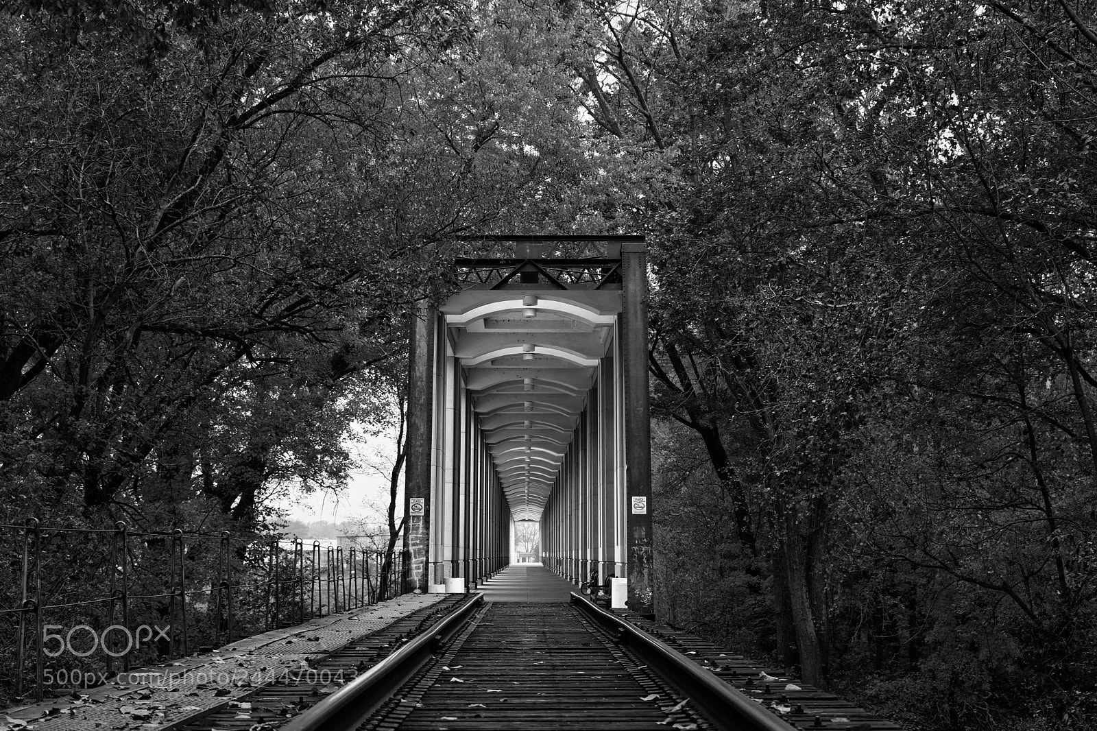 Nikon D7500 sample photo. Where am i photography