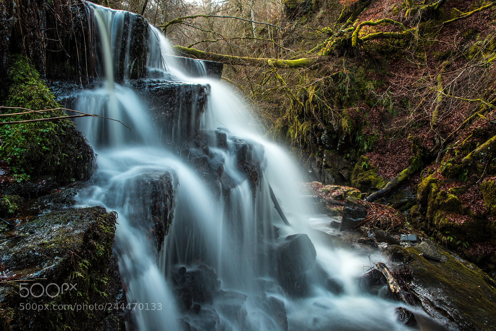 Nikon D7200 sample photo. Aberfeldy january nikon d photography