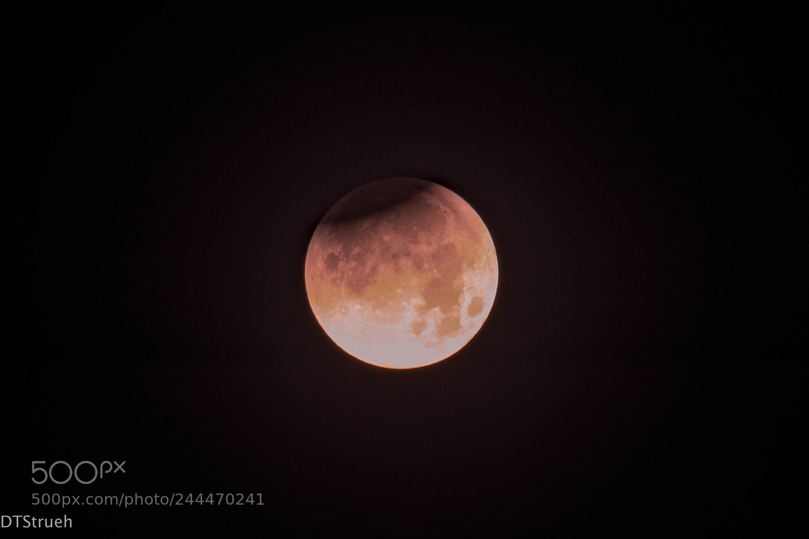 Nikon D7200 sample photo. Super blue blood moon photography