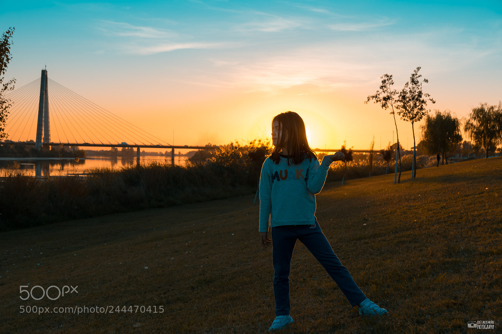 Nikon D7500 sample photo. Untitled photography