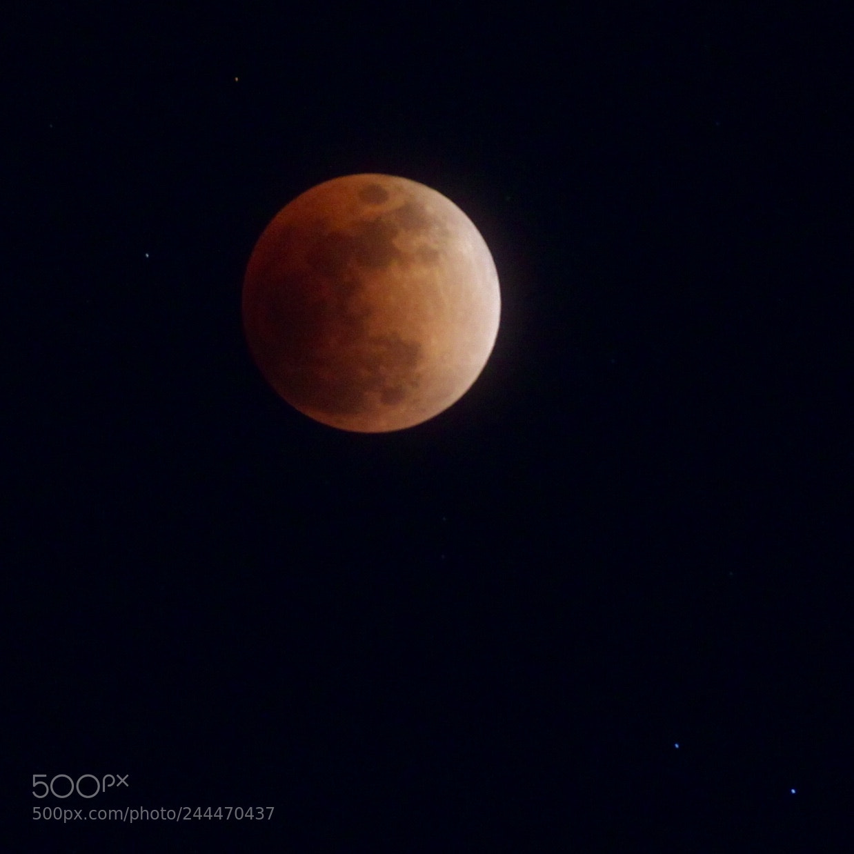 Canon EOS 500D (EOS Rebel T1i / EOS Kiss X3) sample photo. Blood moon photography