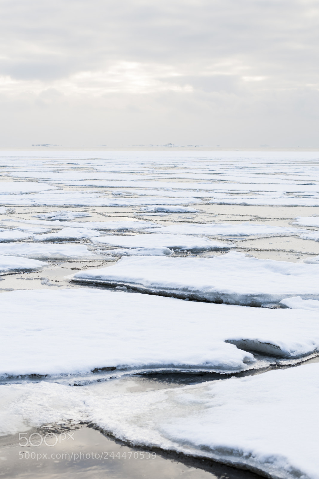 Canon EOS-1Ds Mark II sample photo. Baltic sea at winter photography