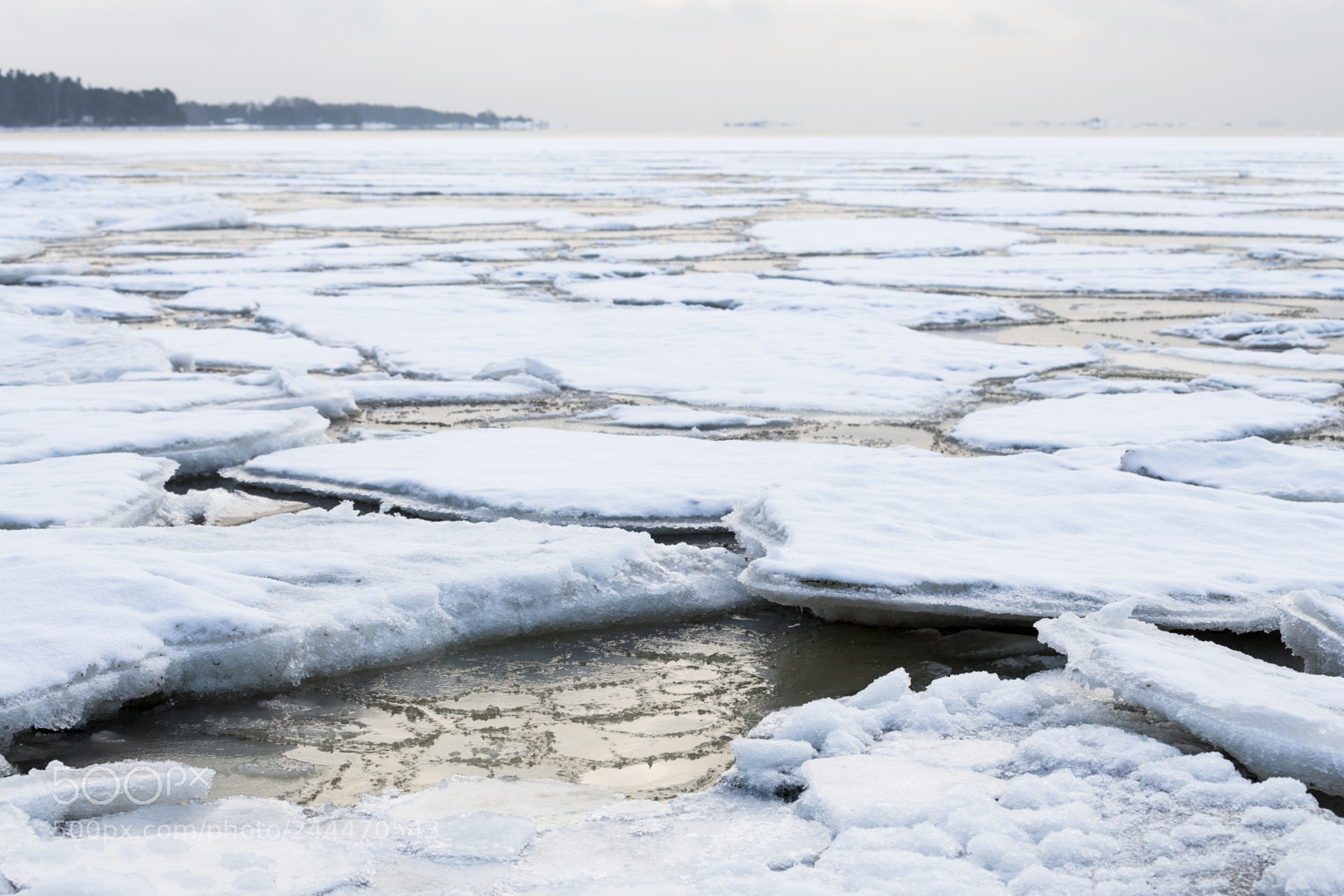 Canon EOS-1Ds Mark II sample photo. Baltic sea at winter photography