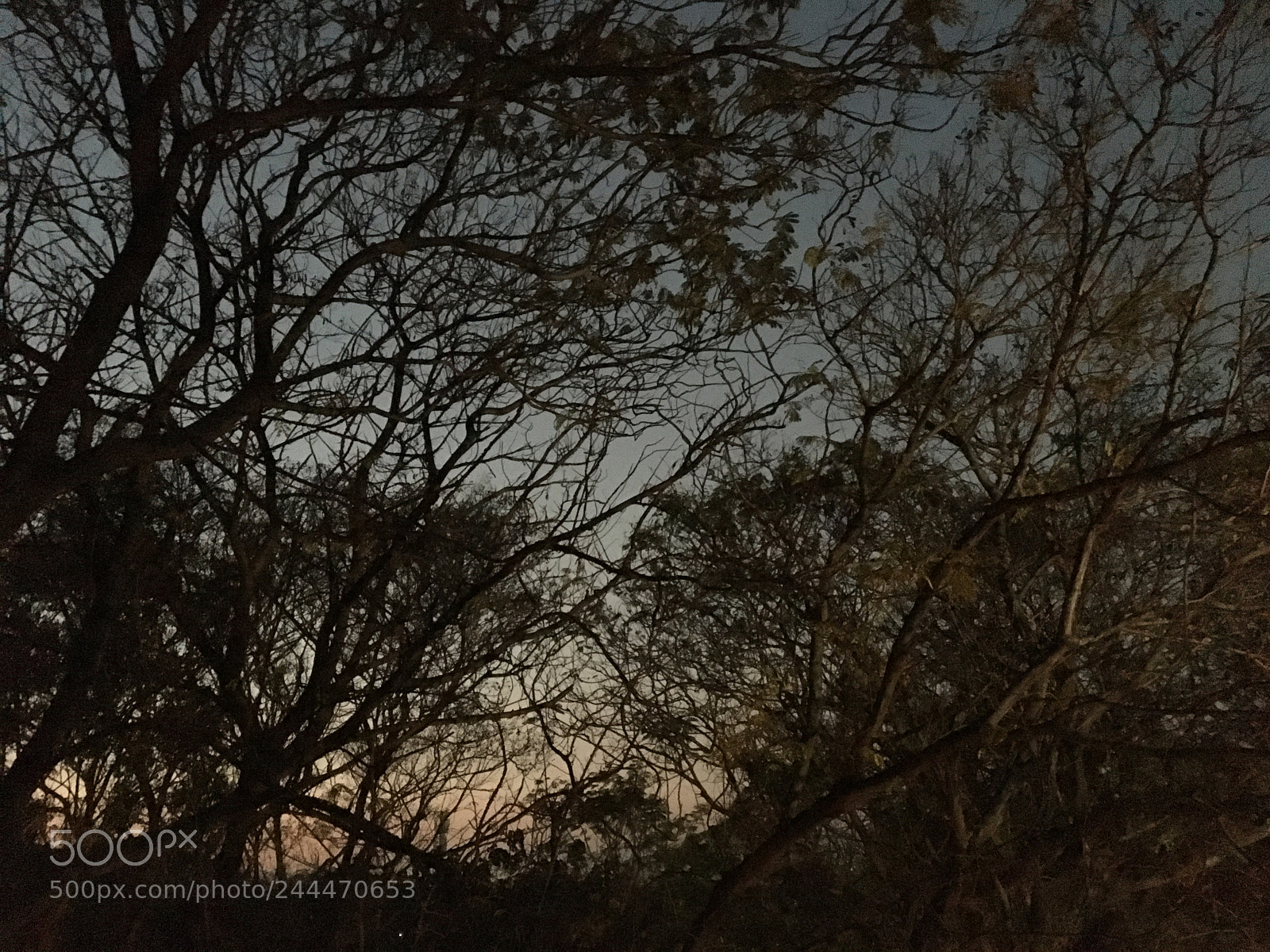 Apple iPhone 6s sample photo. A painting...? photography