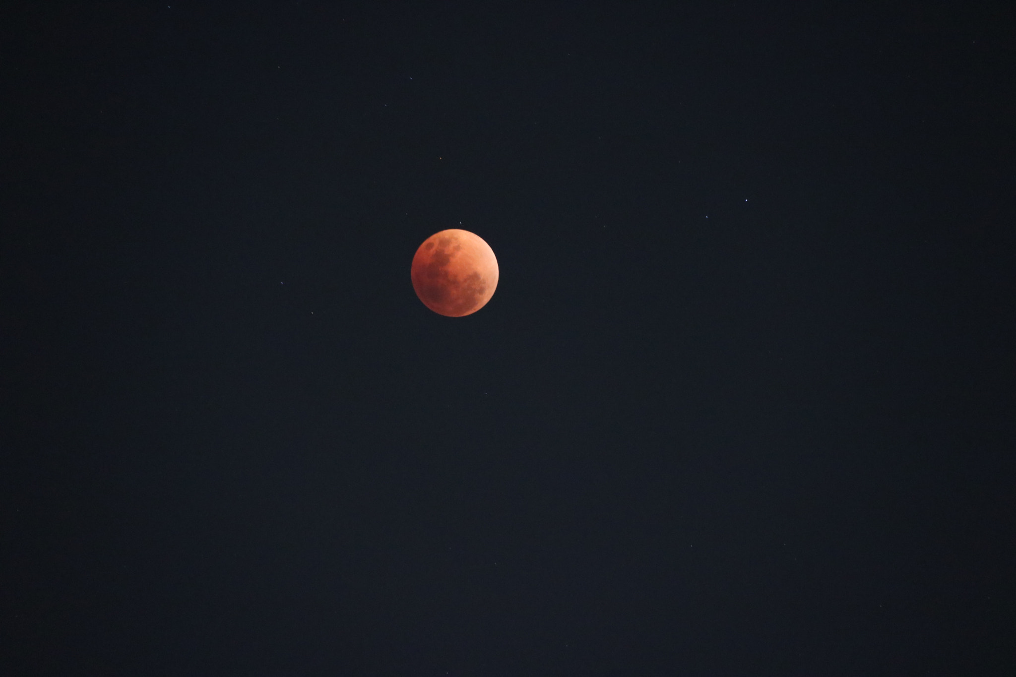 Canon EF-S 18-200mm F3.5-5.6 IS sample photo. Bleeding photography