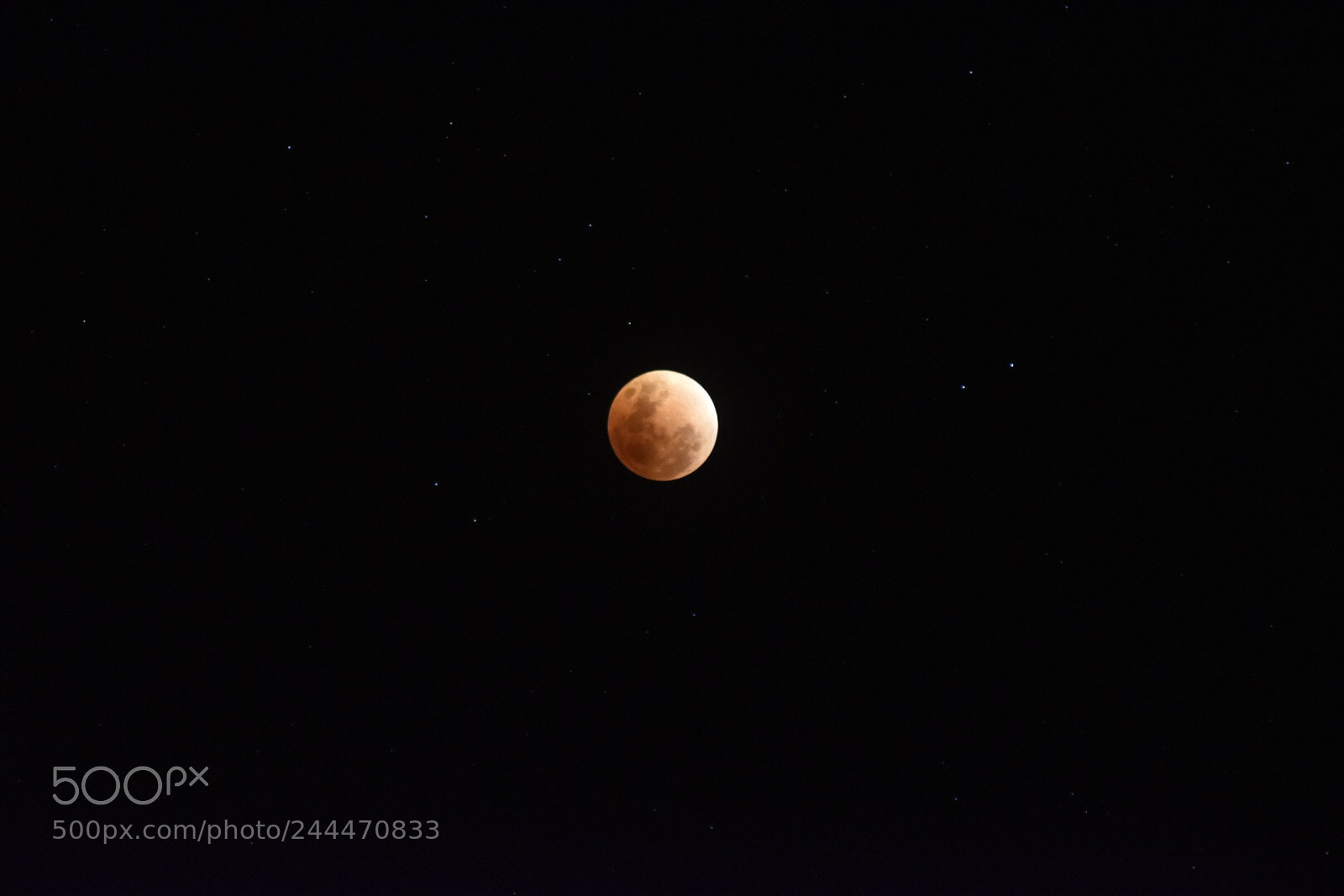 Nikon D5500 sample photo. Super blood moon 2018 photography