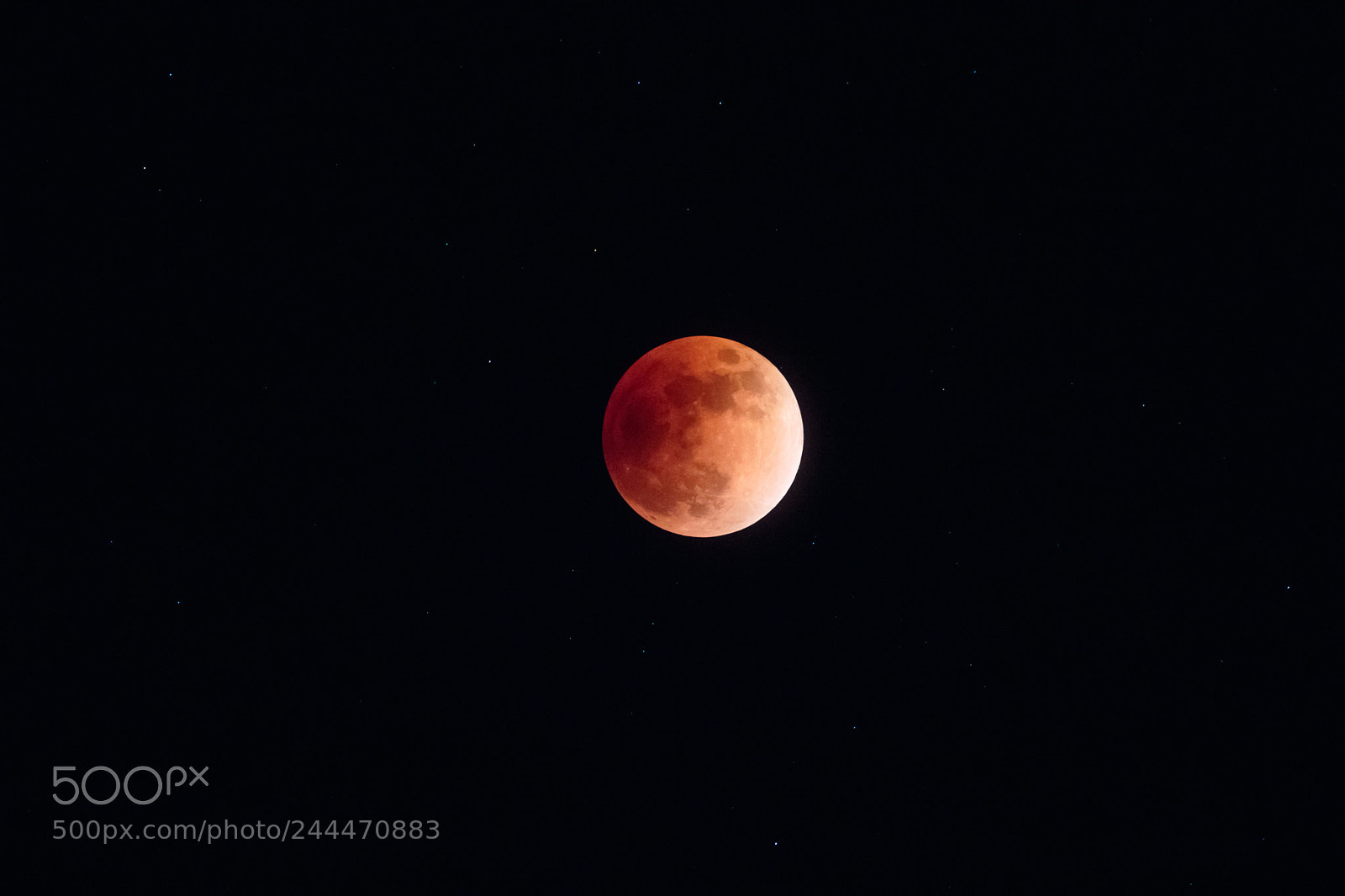 Canon EOS 7D Mark II sample photo. Super blue blood moon photography