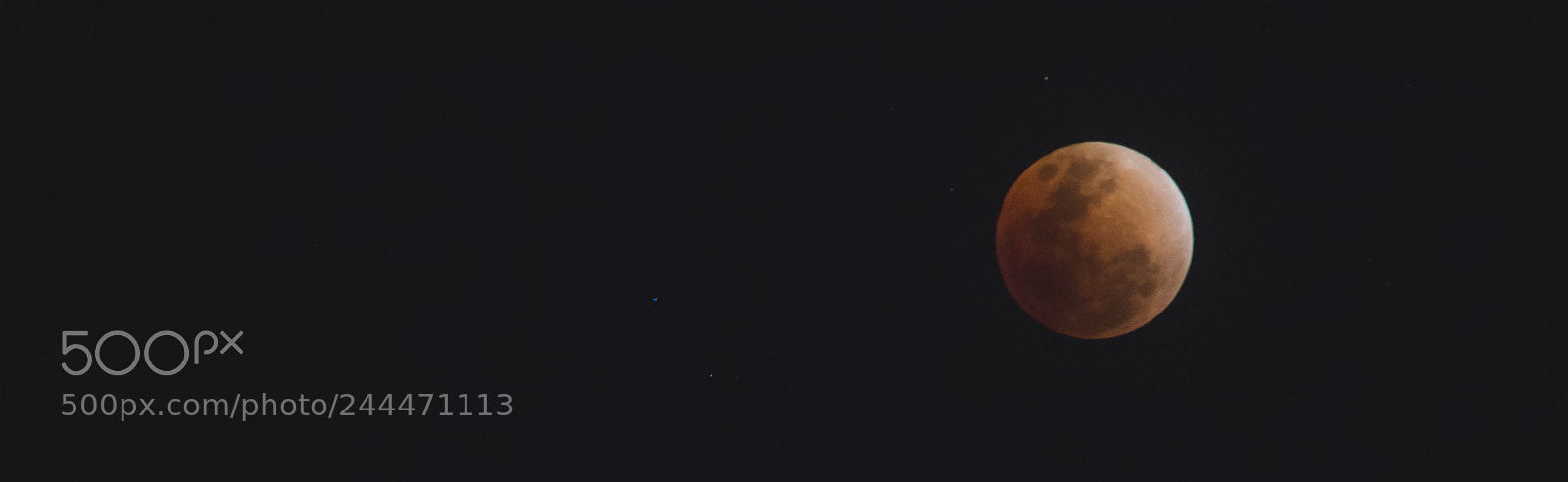Nikon D3100 sample photo. Blood moon photography