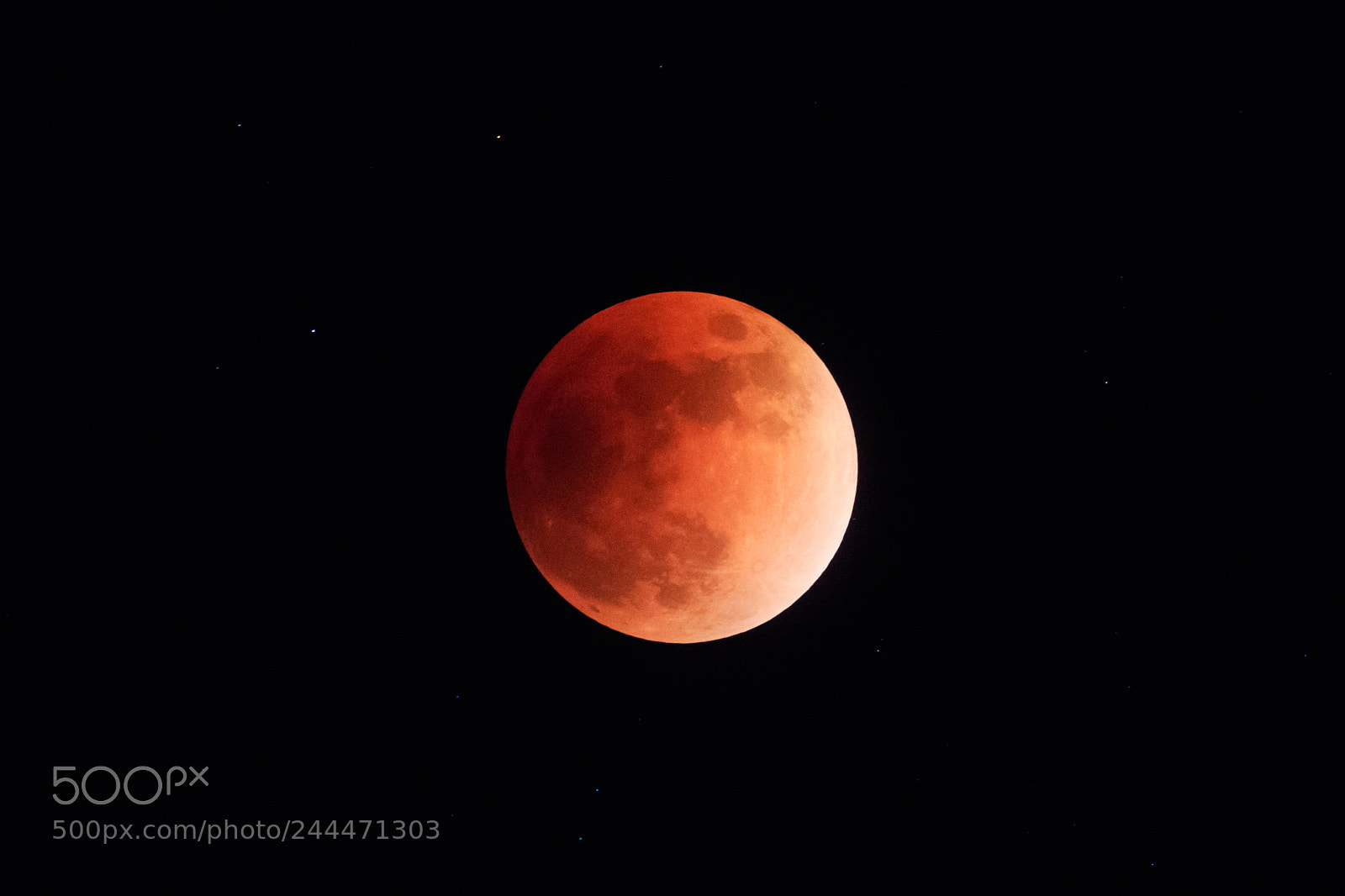 Canon EOS 7D Mark II sample photo. Blue blood moon photography