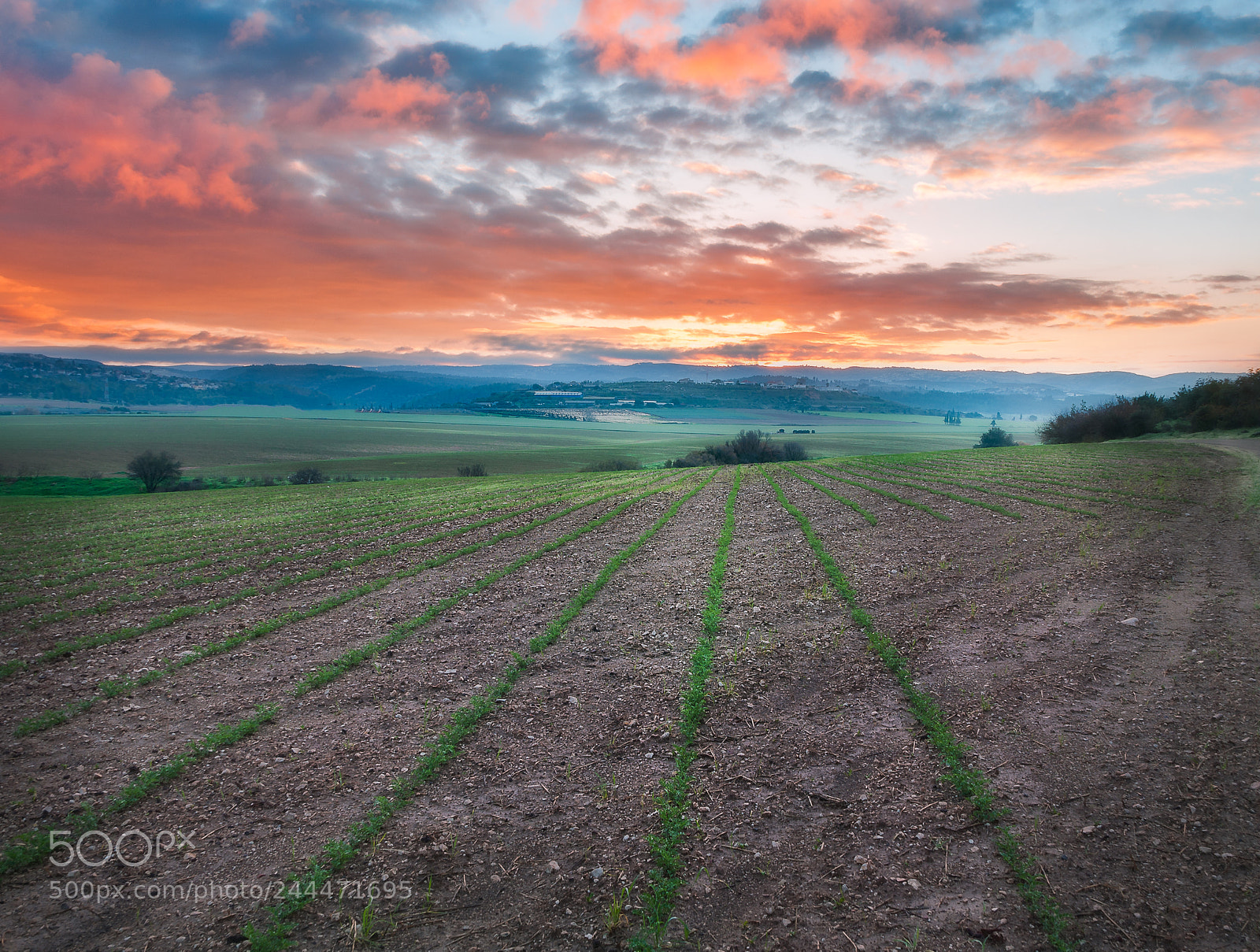 Nikon D90 sample photo. Fields of tranquility photography
